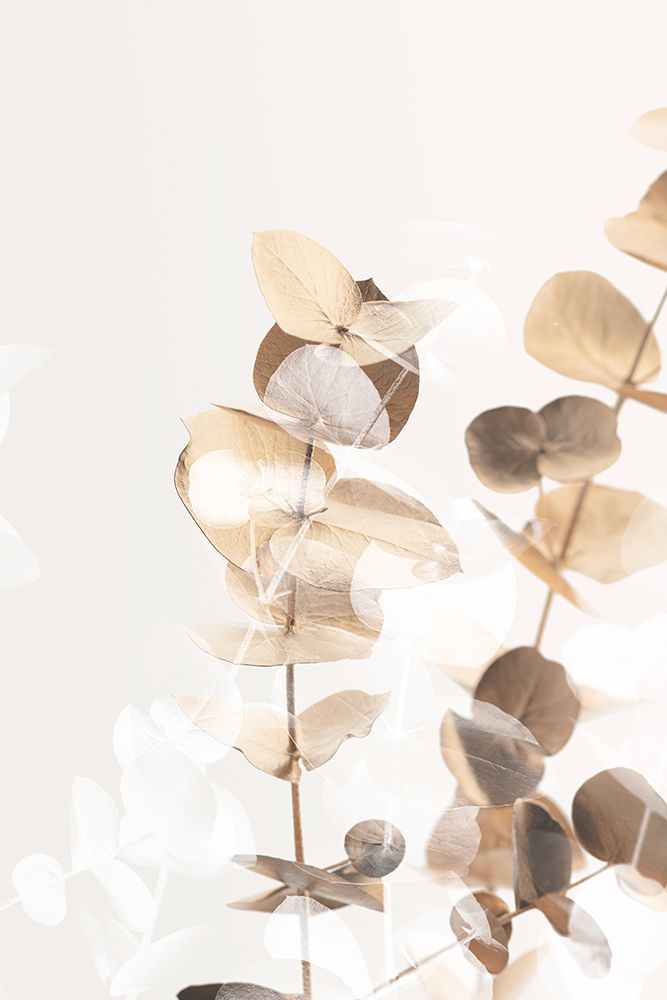 Eucalyptus Creative Gold 01 art print by 1x Studio III for $57.95 CAD