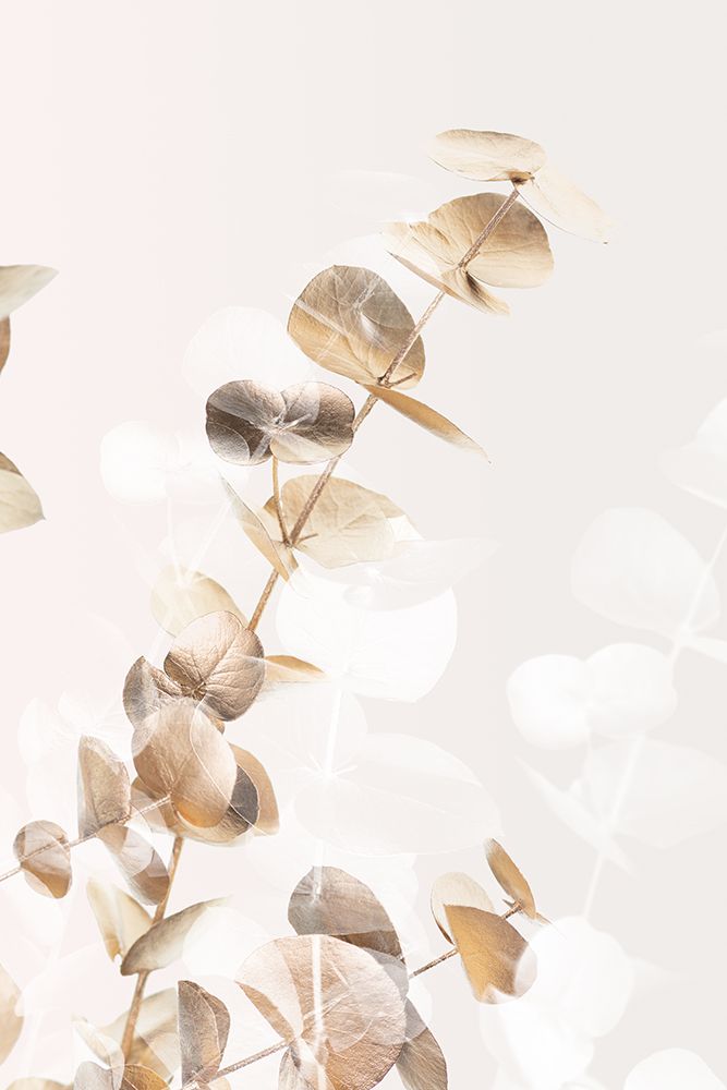 Eucalyptus Creative Gold 02 art print by 1x Studio III for $57.95 CAD