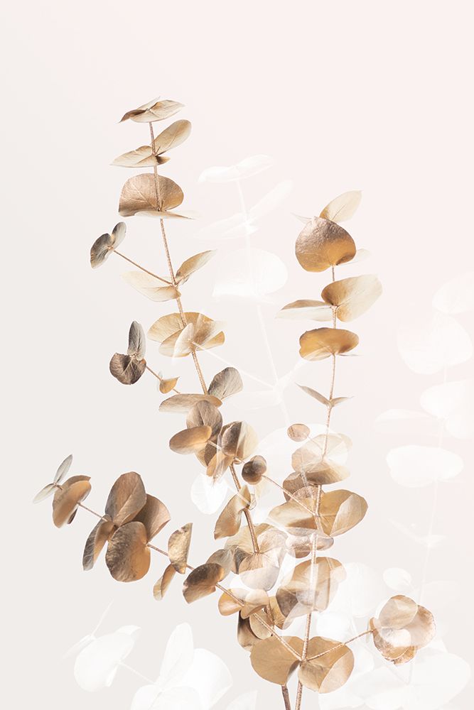 Eucalyptus Creative Gold 03 art print by 1x Studio III for $57.95 CAD