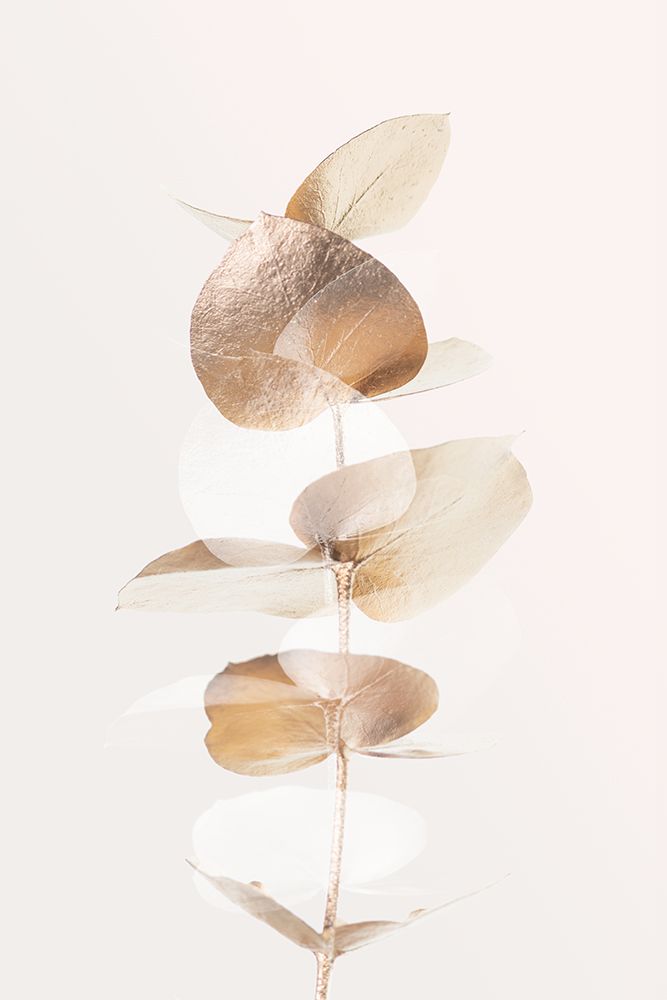 Eucalyptus Creative Gold 04 art print by 1x Studio III for $57.95 CAD