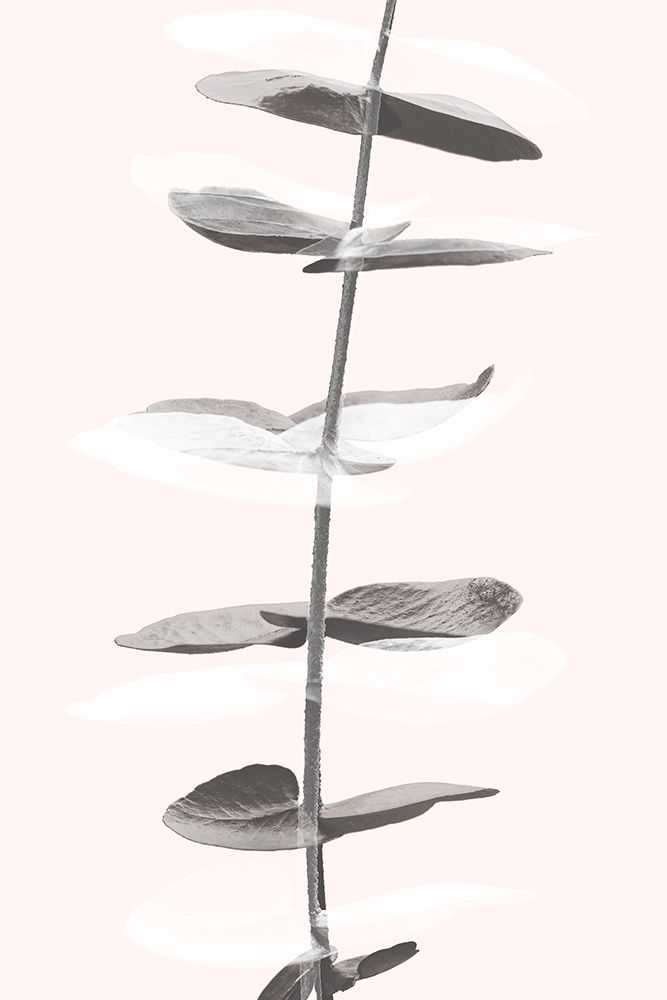 Eucalyptus Creative 11 art print by 1x Studio III for $57.95 CAD