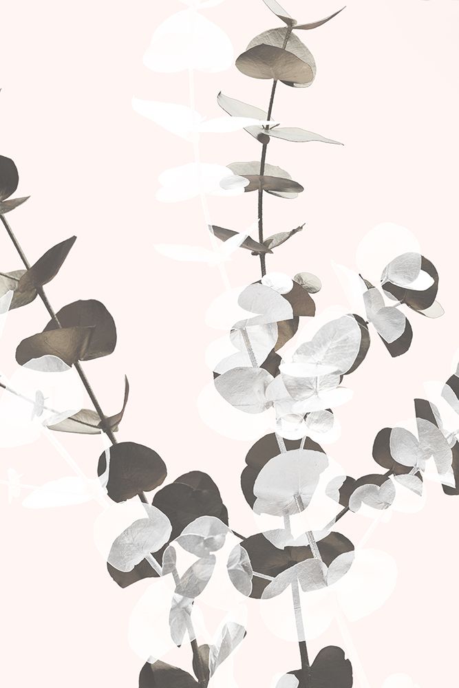 Eucalyptus Creative 12 art print by 1x Studio III for $57.95 CAD
