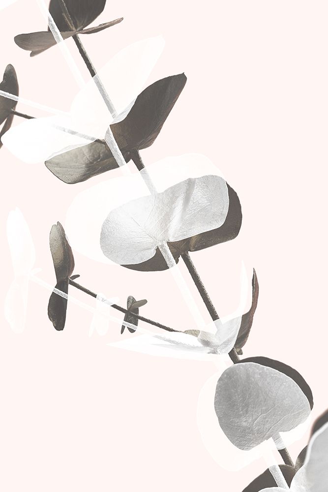 Eucalyptus Creative 13 art print by 1x Studio III for $57.95 CAD