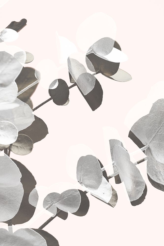 Eucalyptus Creative 14 art print by 1x Studio III for $57.95 CAD