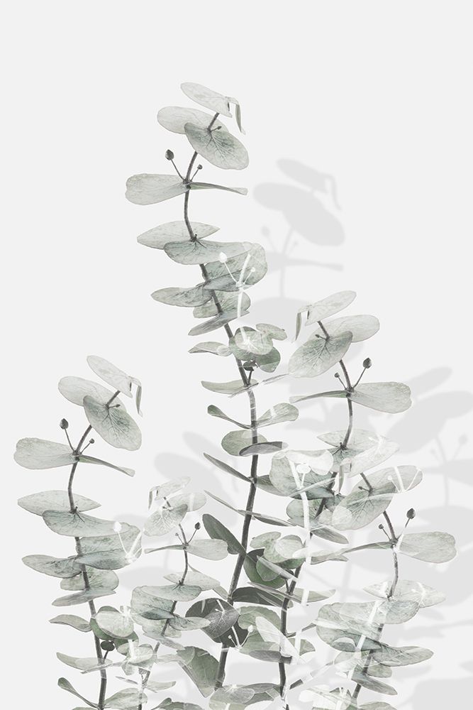 Eucalyptus Creative 15 art print by 1x Studio III for $57.95 CAD