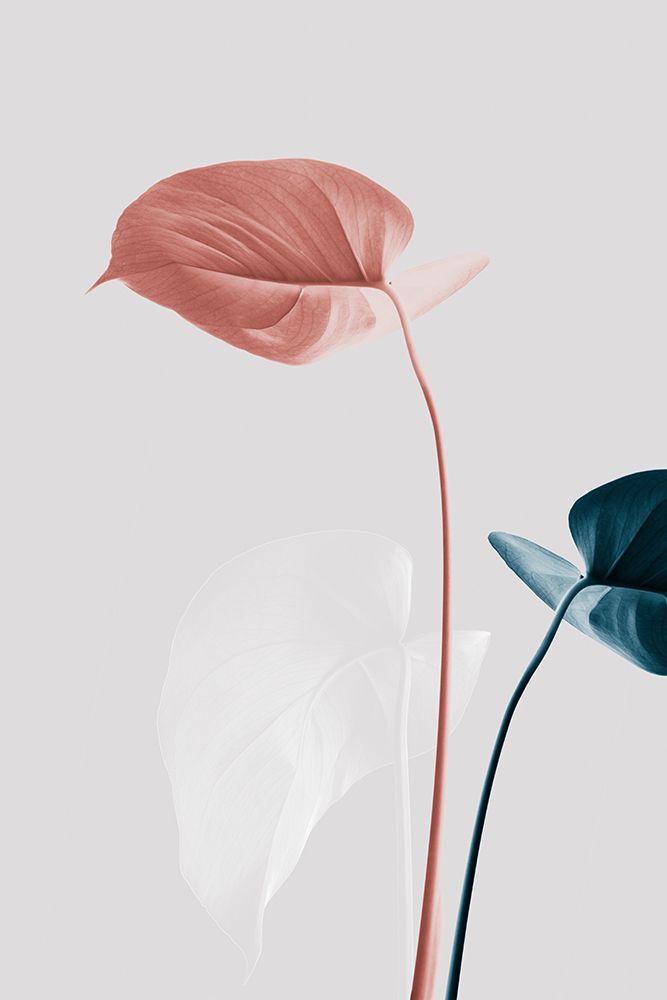 Monstera Creative 25 art print by 1x Studio III for $57.95 CAD