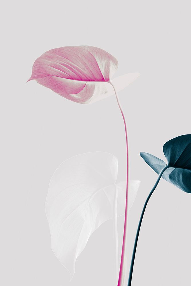 Monstera Creative 24 art print by 1x Studio III for $57.95 CAD