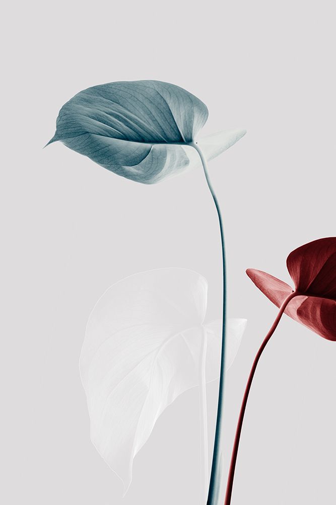 Monstera Creative 23 art print by 1x Studio III for $57.95 CAD