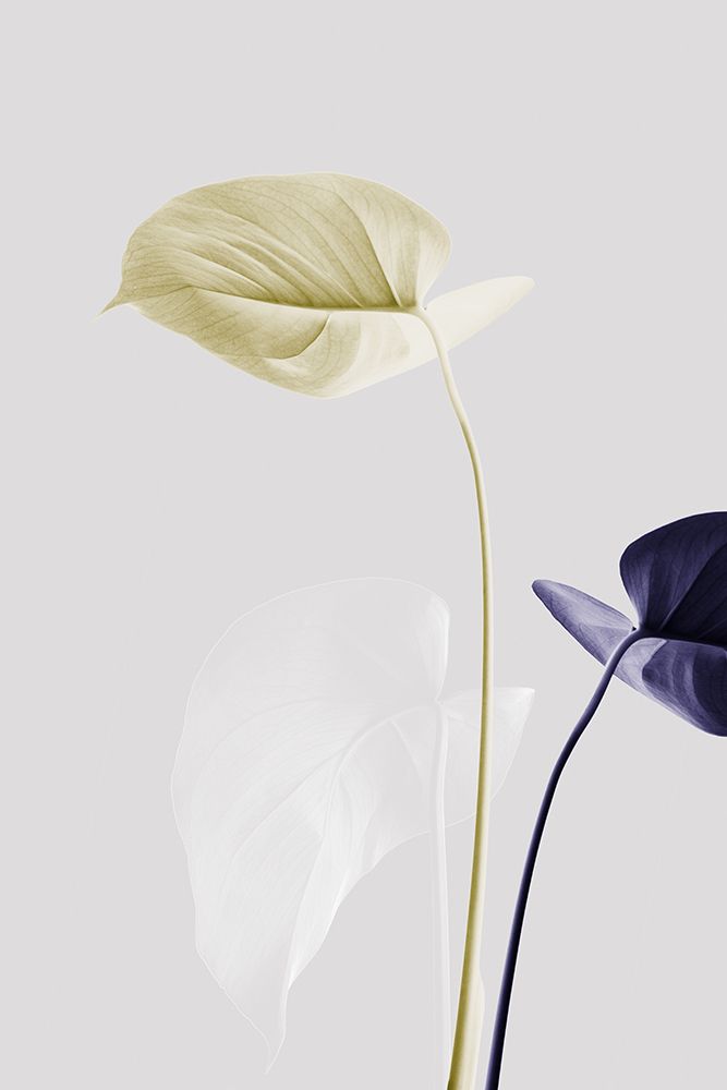 Monstera Creative 23 art print by 1x Studio III for $57.95 CAD