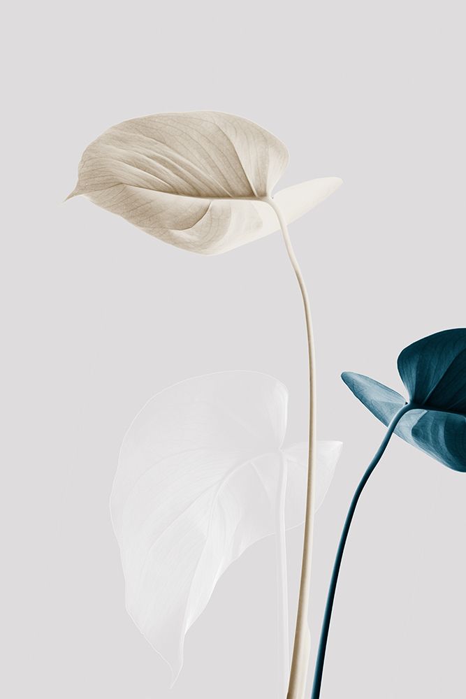 Monstera Creative 22 art print by 1x Studio III for $57.95 CAD