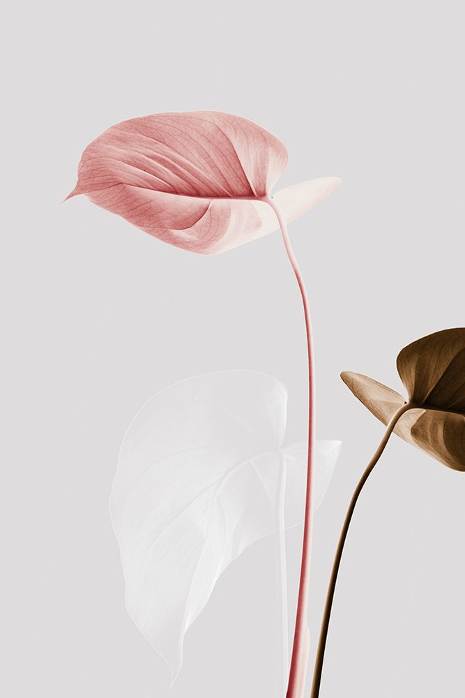 Monstera Creative 21 art print by 1x Studio III for $57.95 CAD