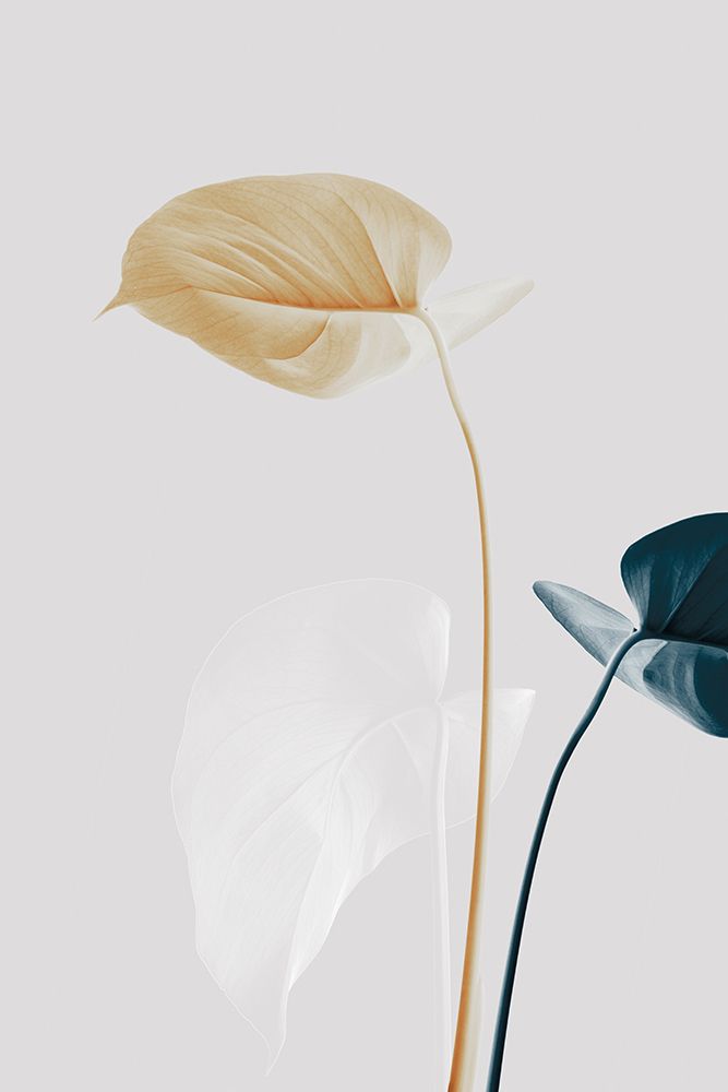 Monstera Creative 20 art print by 1x Studio III for $57.95 CAD