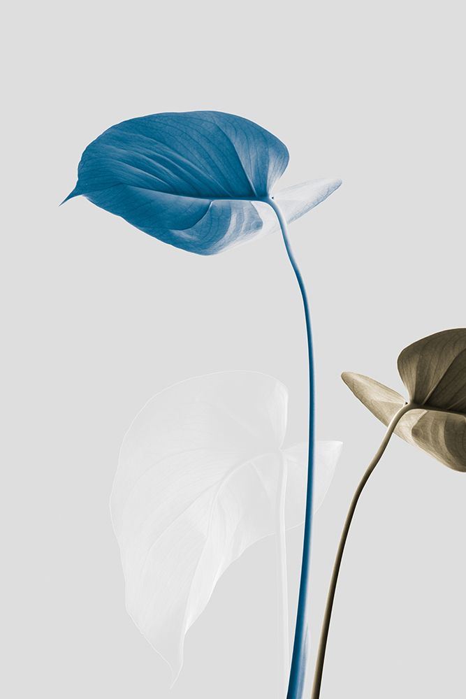 Monstera Creative 19 art print by 1x Studio III for $57.95 CAD