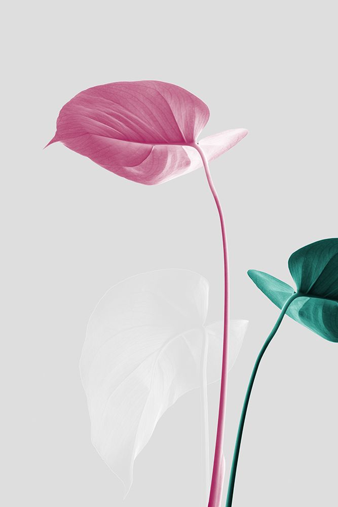 Monstera Creative 18 art print by 1x Studio III for $57.95 CAD