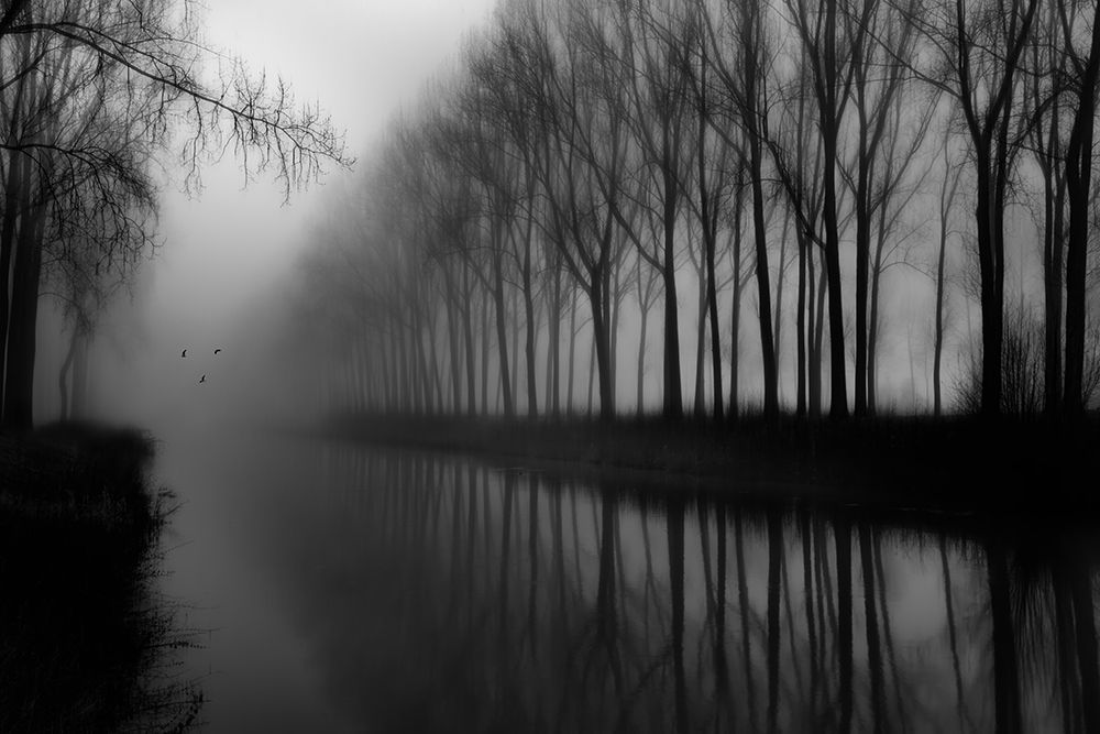 Wonderful Canal art print by Fabrizio Massetti for $57.95 CAD