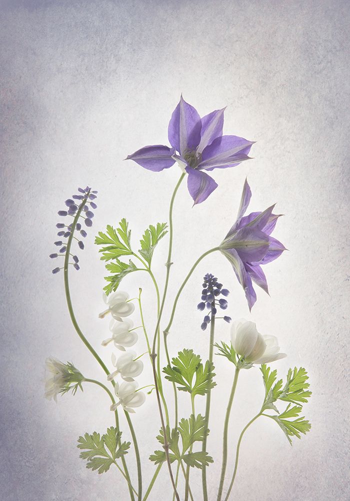 Spring art print by Binbin L. for $57.95 CAD