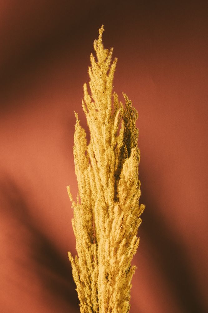 Yellow Grass Rust art print by 1x Studio III for $57.95 CAD
