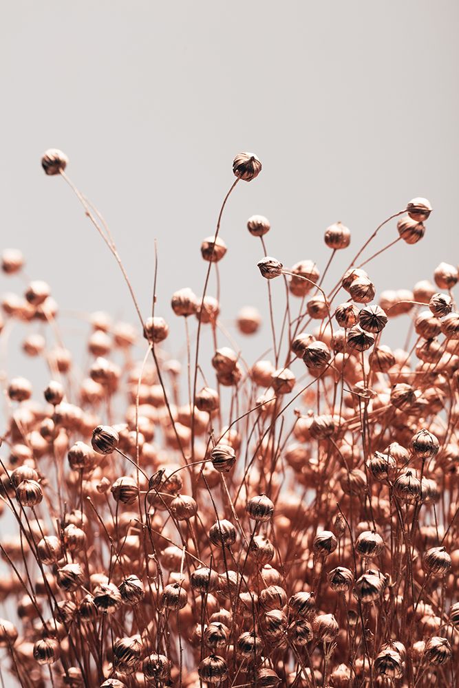 Dried Grass Copper 05 art print by 1x Studio III for $57.95 CAD