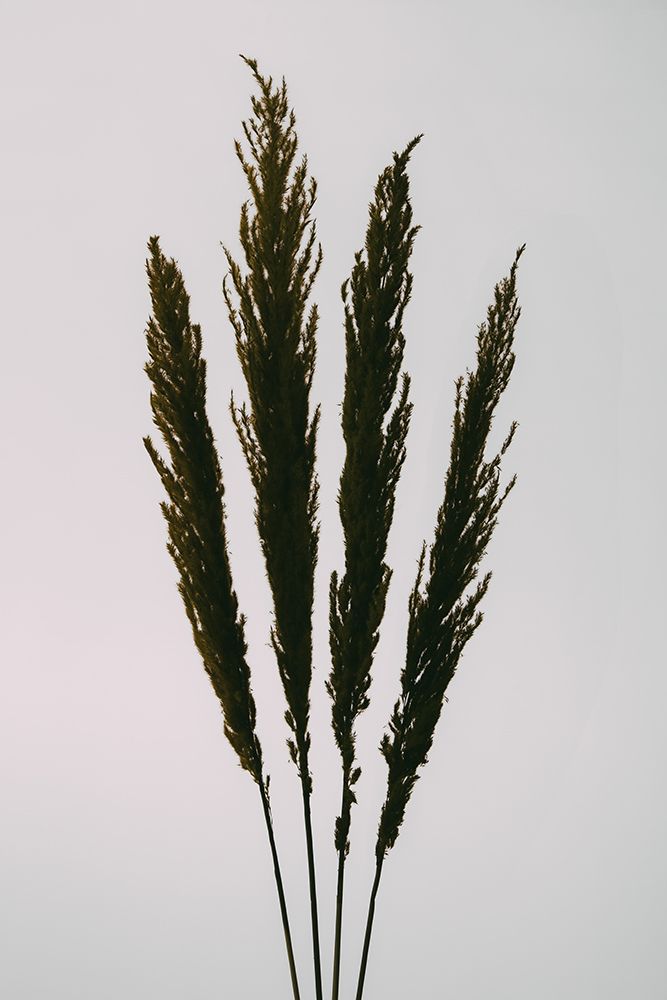 Dried Grass art print by 1x Studio III for $57.95 CAD
