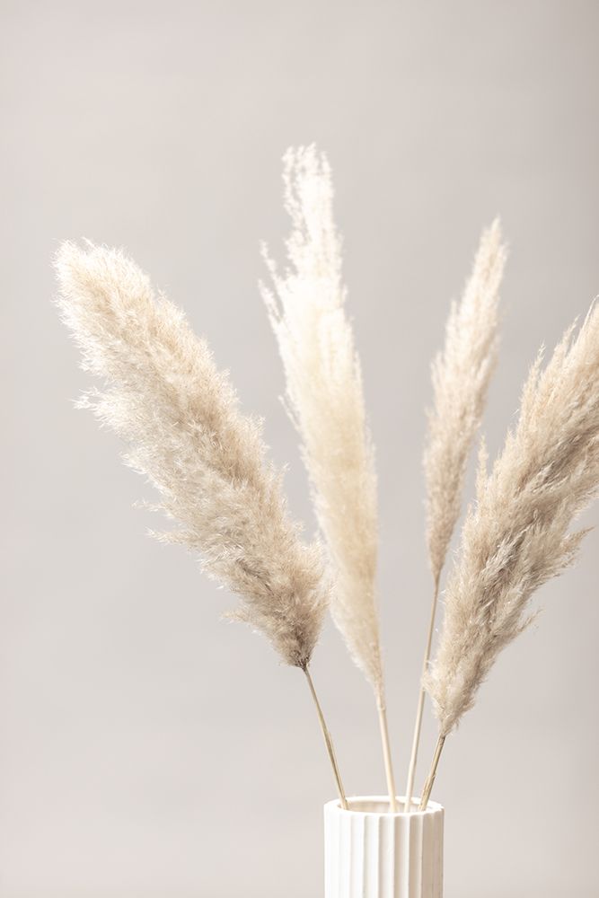 Pampas Grass Grey 05 art print by 1x Studio III for $57.95 CAD