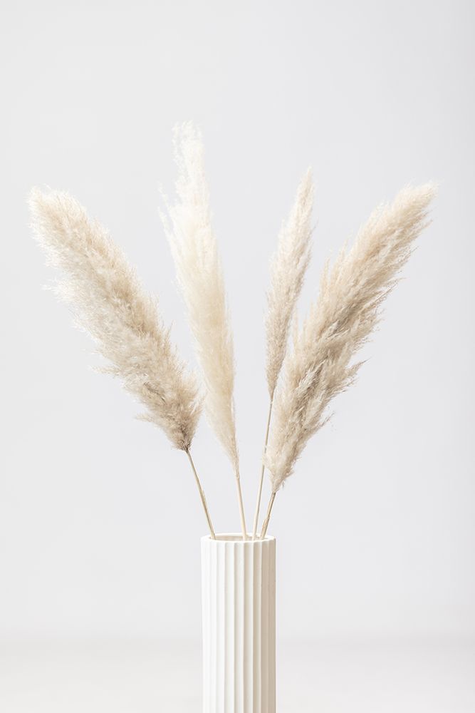 Pampas Grass Grey 09 art print by 1x Studio III for $57.95 CAD