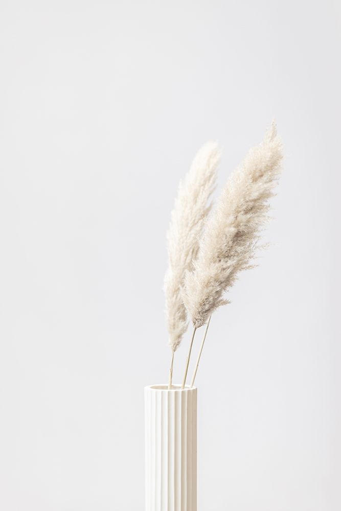 Pampas Grass Grey 10 art print by 1x Studio III for $57.95 CAD