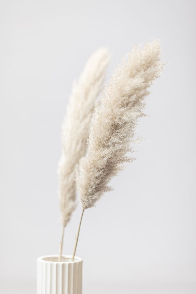 Pampas Grass Grey 11 art print by 1x Studio III for $57.95 CAD