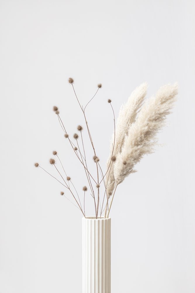 Thistle a Pampas 01 art print by 1x Studio III for $57.95 CAD