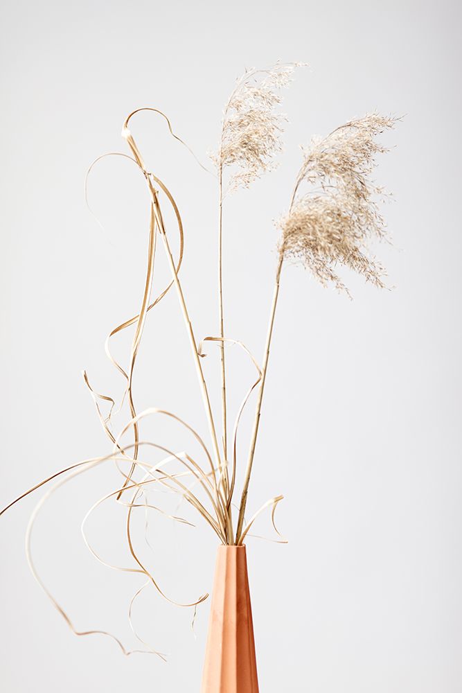 Dried Grass Terracotta art print by 1x Studio III for $57.95 CAD
