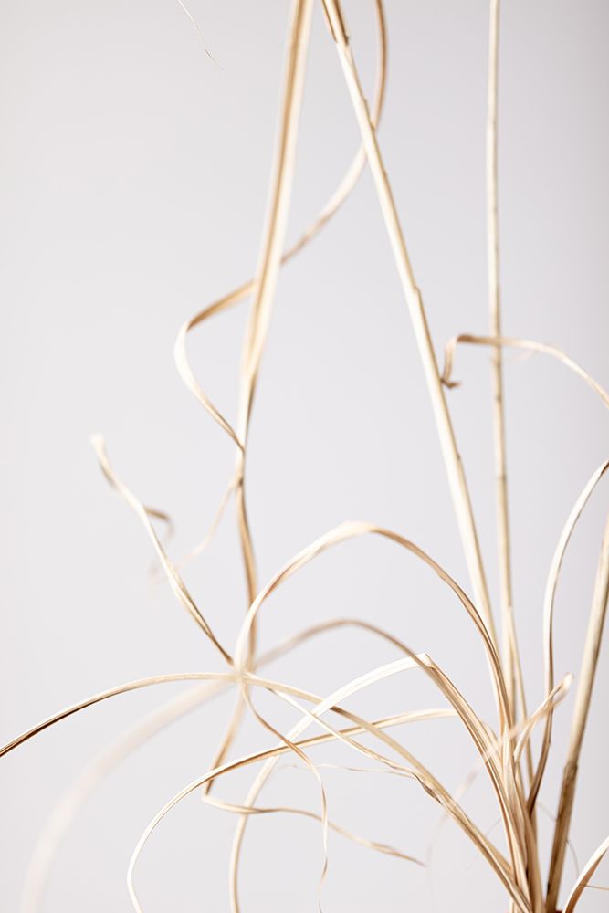 Dried Grass Grey 01 art print by 1x Studio III for $57.95 CAD