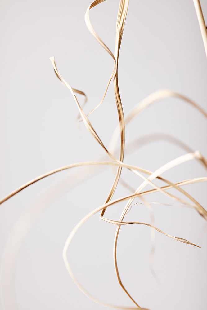 Dried Grass Grey 02 art print by 1x Studio III for $57.95 CAD