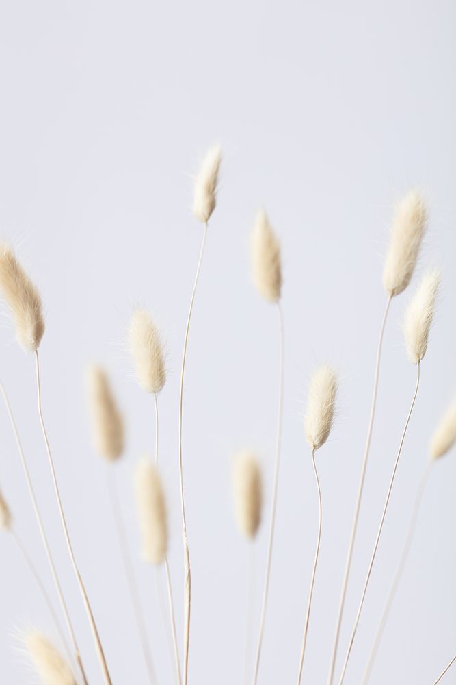 Bunny Grass No 3 art print by 1x Studio III for $57.95 CAD