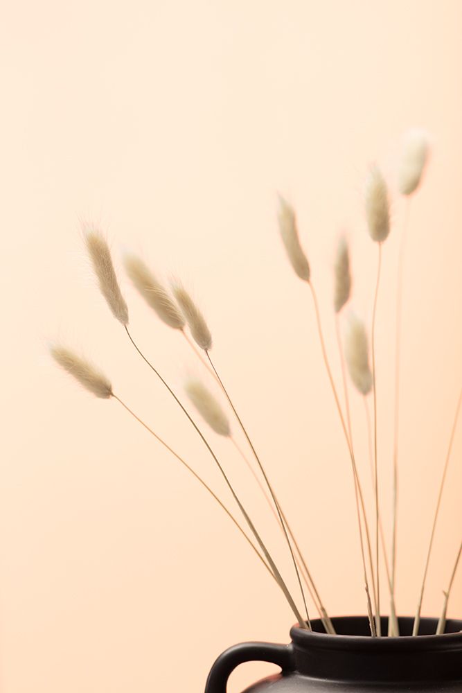 Bunny Grass Peach 01 art print by 1x Studio III for $57.95 CAD