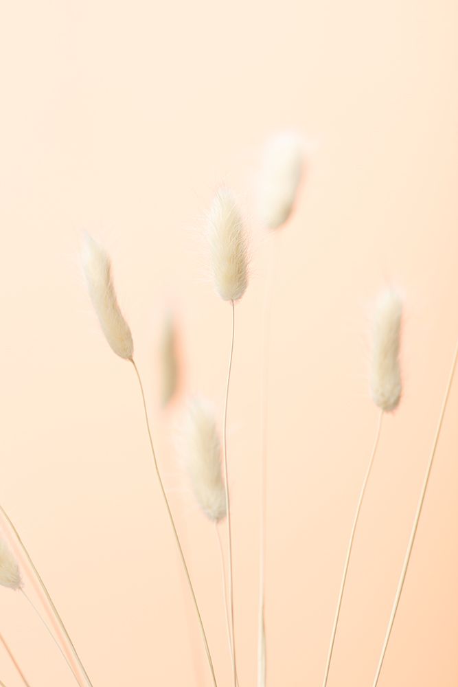 Bunny Grass Peach 06 art print by 1x Studio III for $57.95 CAD