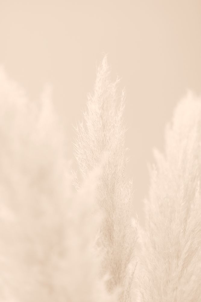 Pampas Grass Beige 04 art print by 1x Studio III for $57.95 CAD