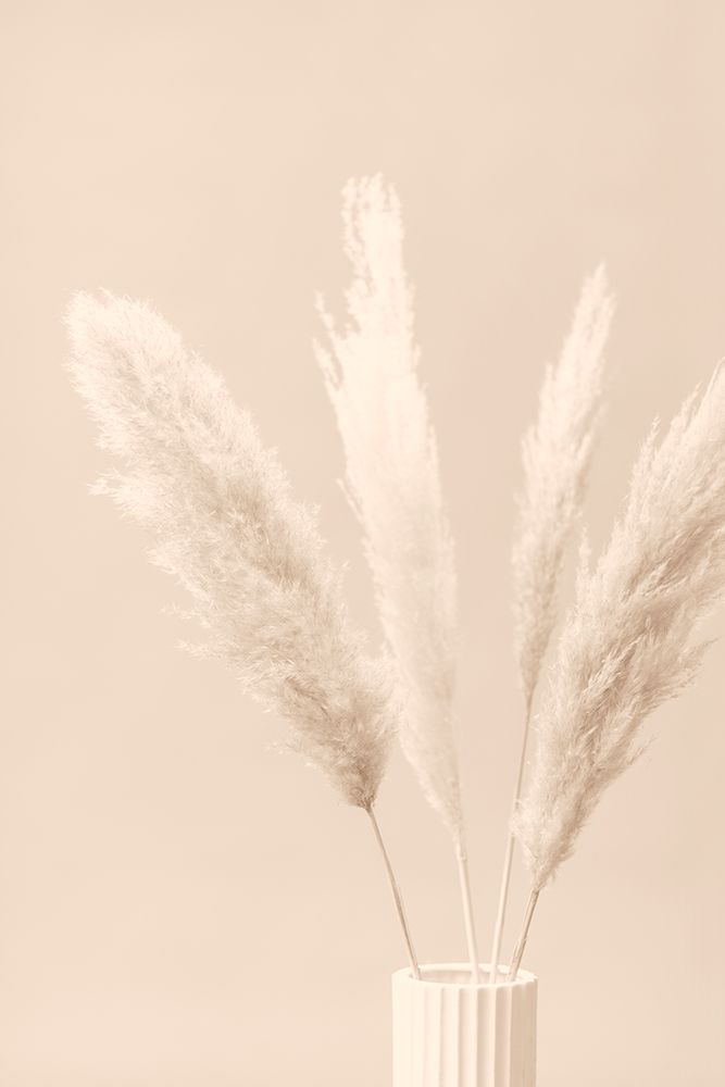 Pampas Grass Beige 05 art print by 1x Studio III for $57.95 CAD