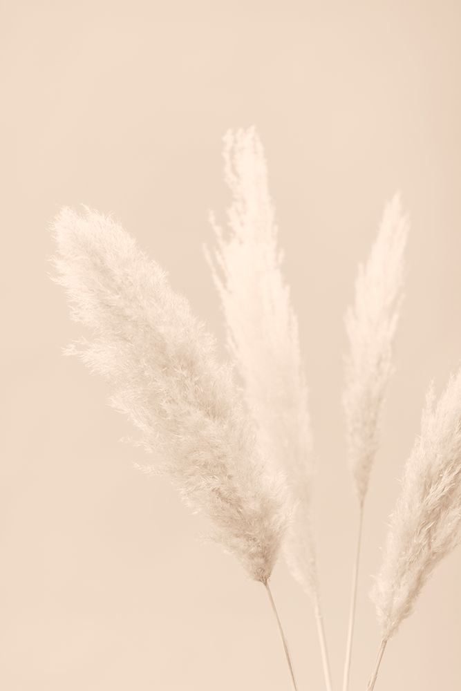 Pampas Grass Beige 06 art print by 1x Studio III for $57.95 CAD