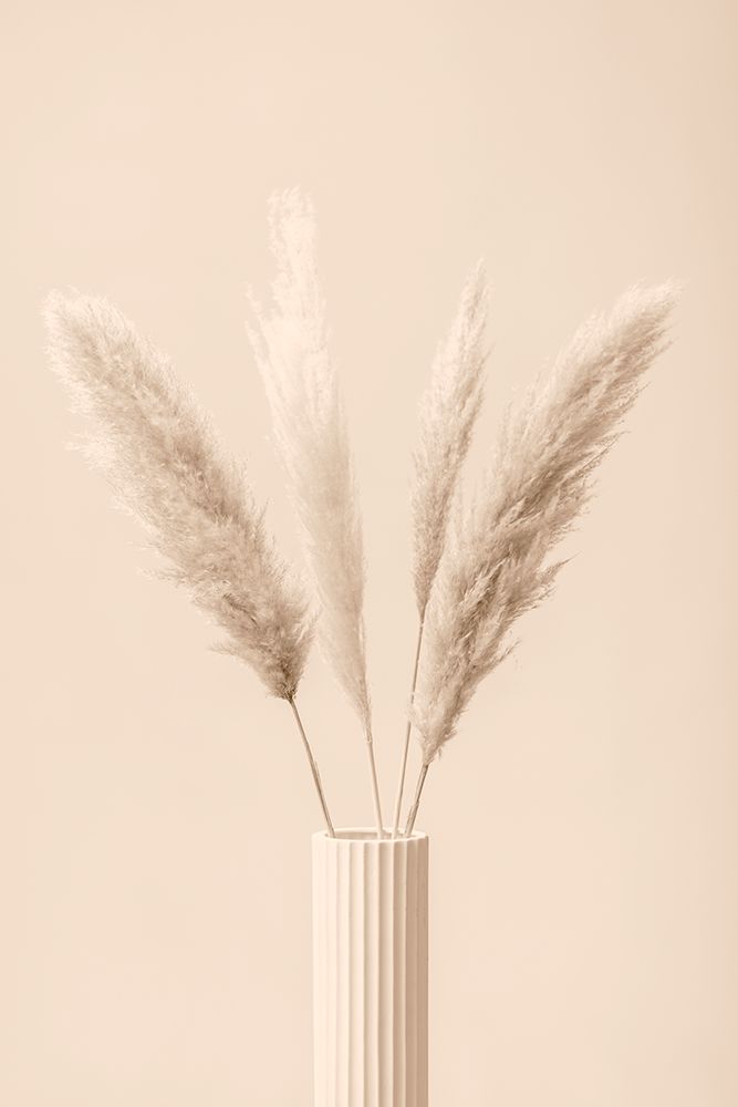 Pampas Grass Beige 09 art print by 1x Studio III for $57.95 CAD
