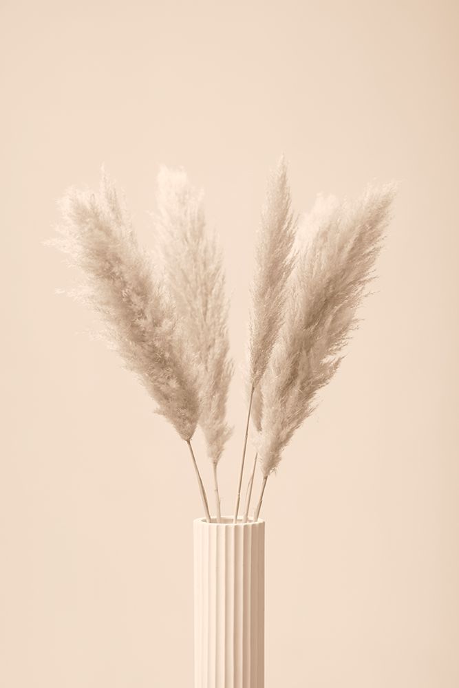 Pampas Grass Beige 11 art print by 1x Studio III for $57.95 CAD