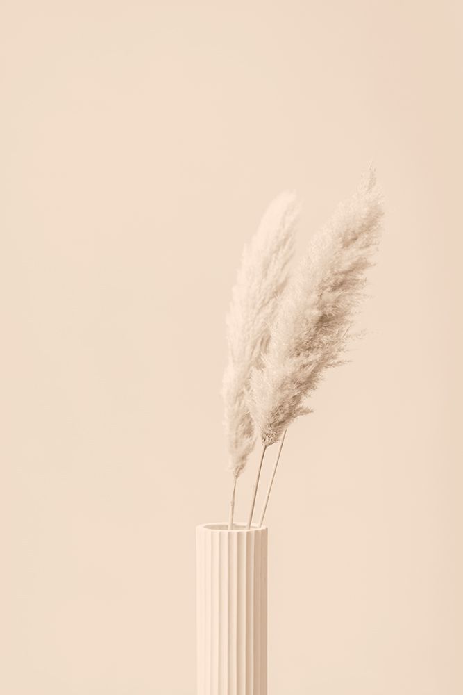 Pampas Grass Beige 12 art print by 1x Studio III for $57.95 CAD