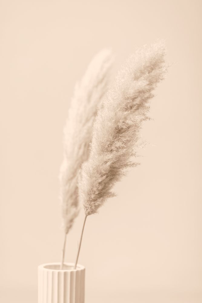 Pampas Grass Begie 13 art print by 1x Studio III for $57.95 CAD