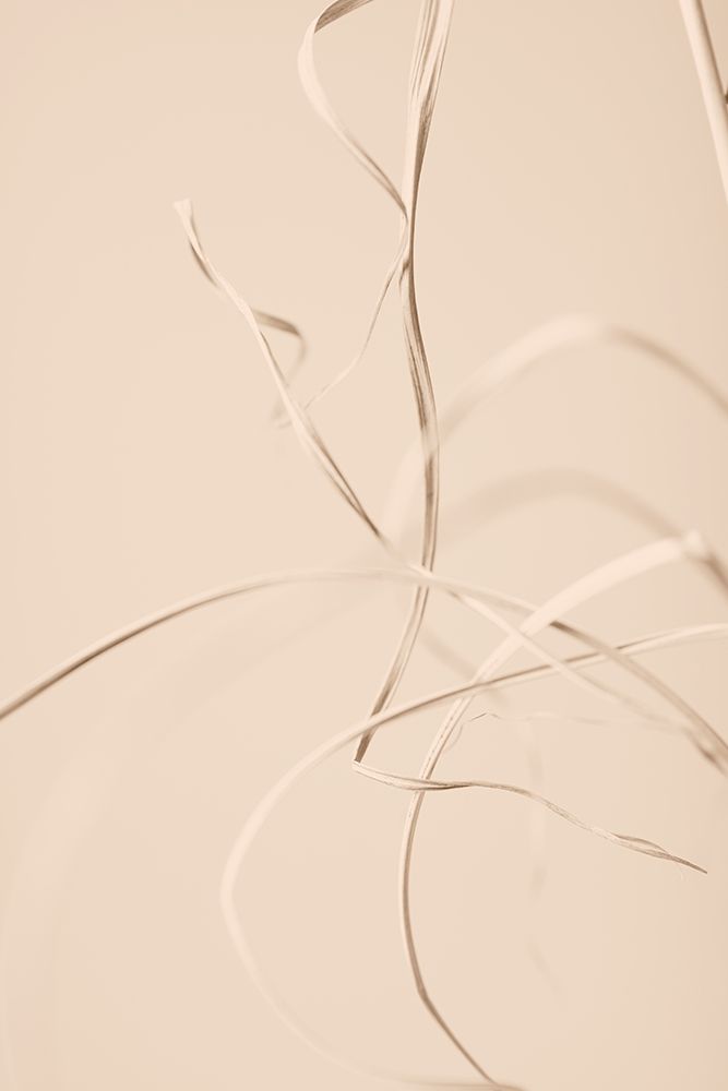 Dried Grass Beige 02 art print by 1x Studio III for $57.95 CAD