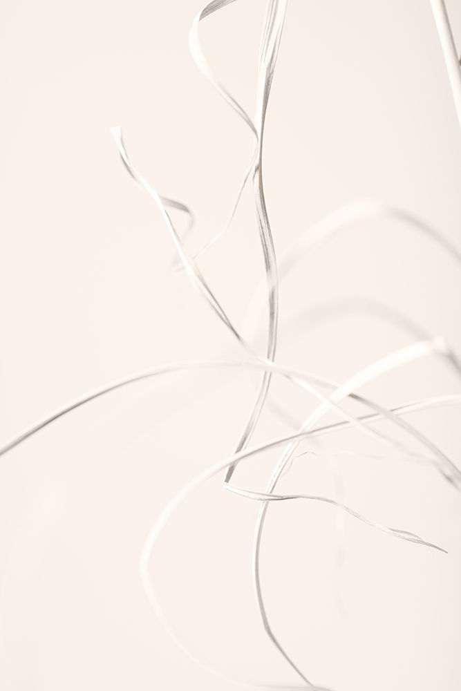 Dried Grass Light Beige 02 art print by 1x Studio III for $57.95 CAD