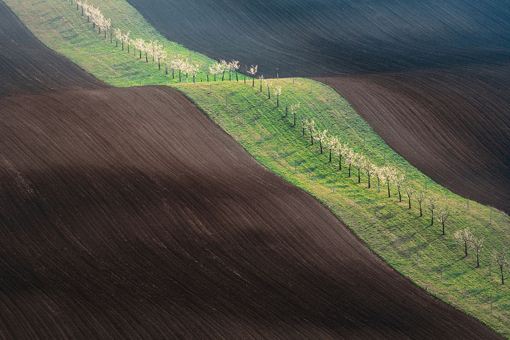 From Left To Right art print by Petr Kovar for $57.95 CAD