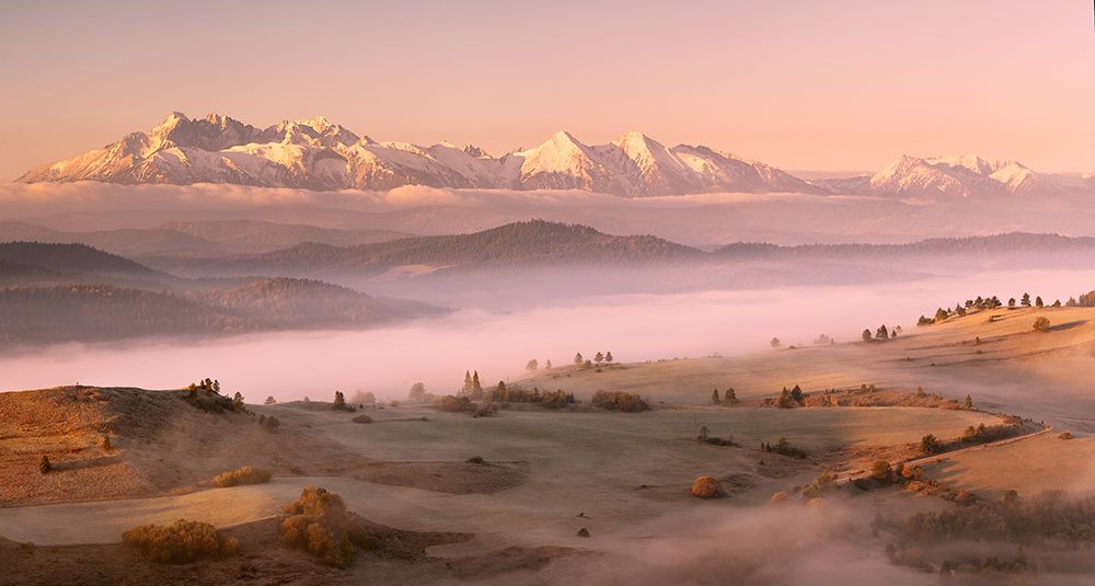Fog Tatra art print by Krzysztof Mierzejewski for $57.95 CAD