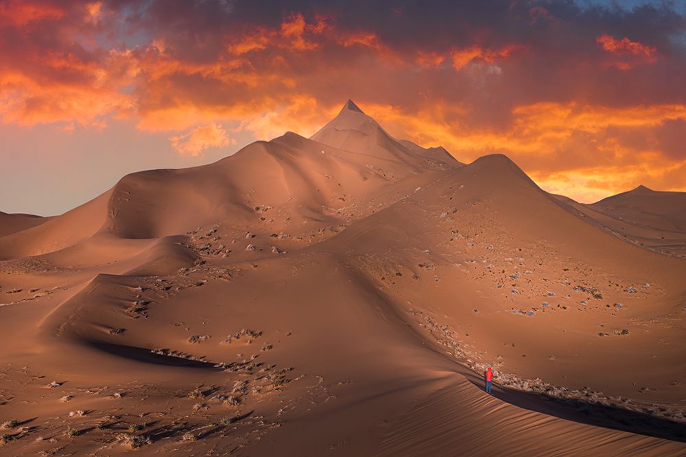 Exploring The Desert art print by Simoon for $57.95 CAD
