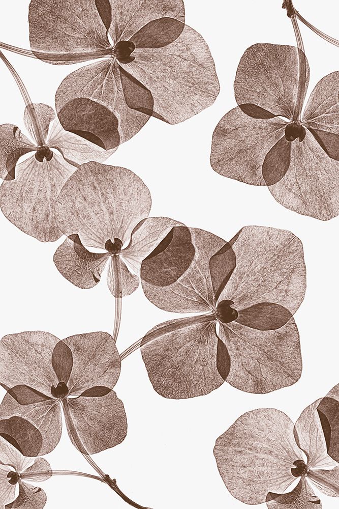 Botanical 4 art print by Lenka for $57.95 CAD