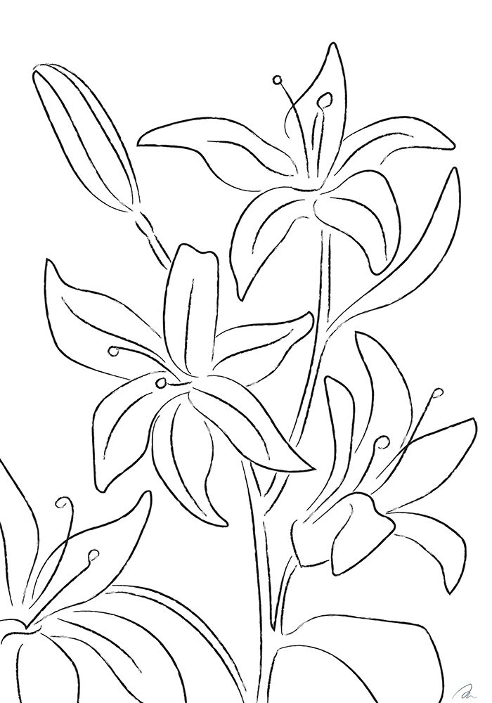 Lillies No 02 art print by 1x Studio II for $57.95 CAD