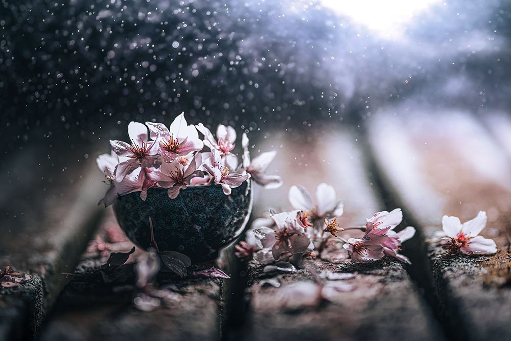 Spring In A Teacup art print by Can Pu for $57.95 CAD