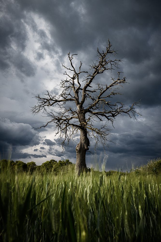 Stormy Weather art print by Rostovskiy Anton for $57.95 CAD